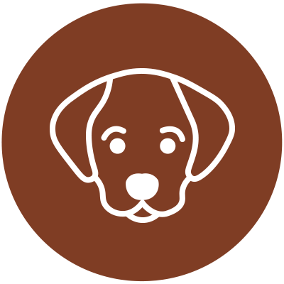 se puede lavar un cachorro de 1 mes