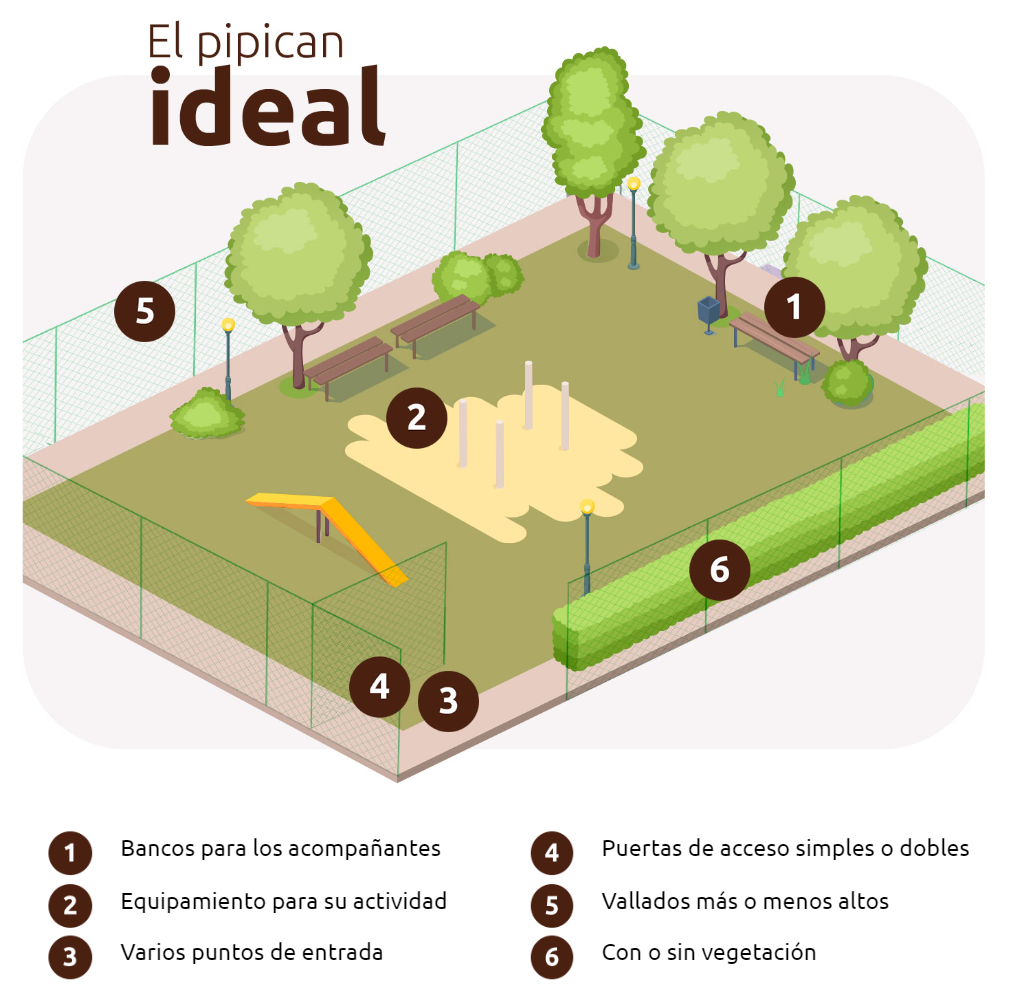 pipican ideal