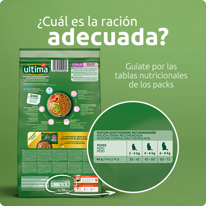 Ración adecuada comida para gato
