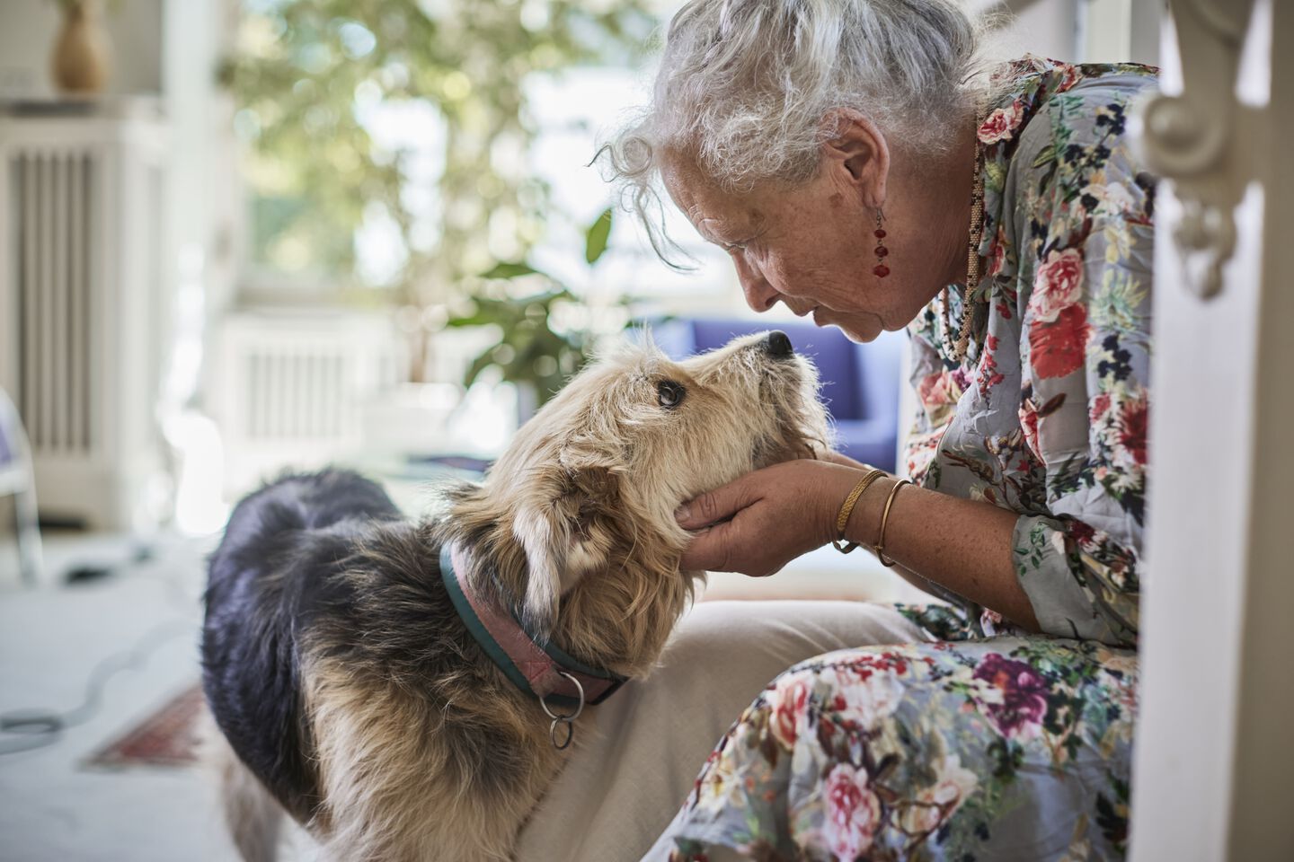 Mujer acariciando a su perro