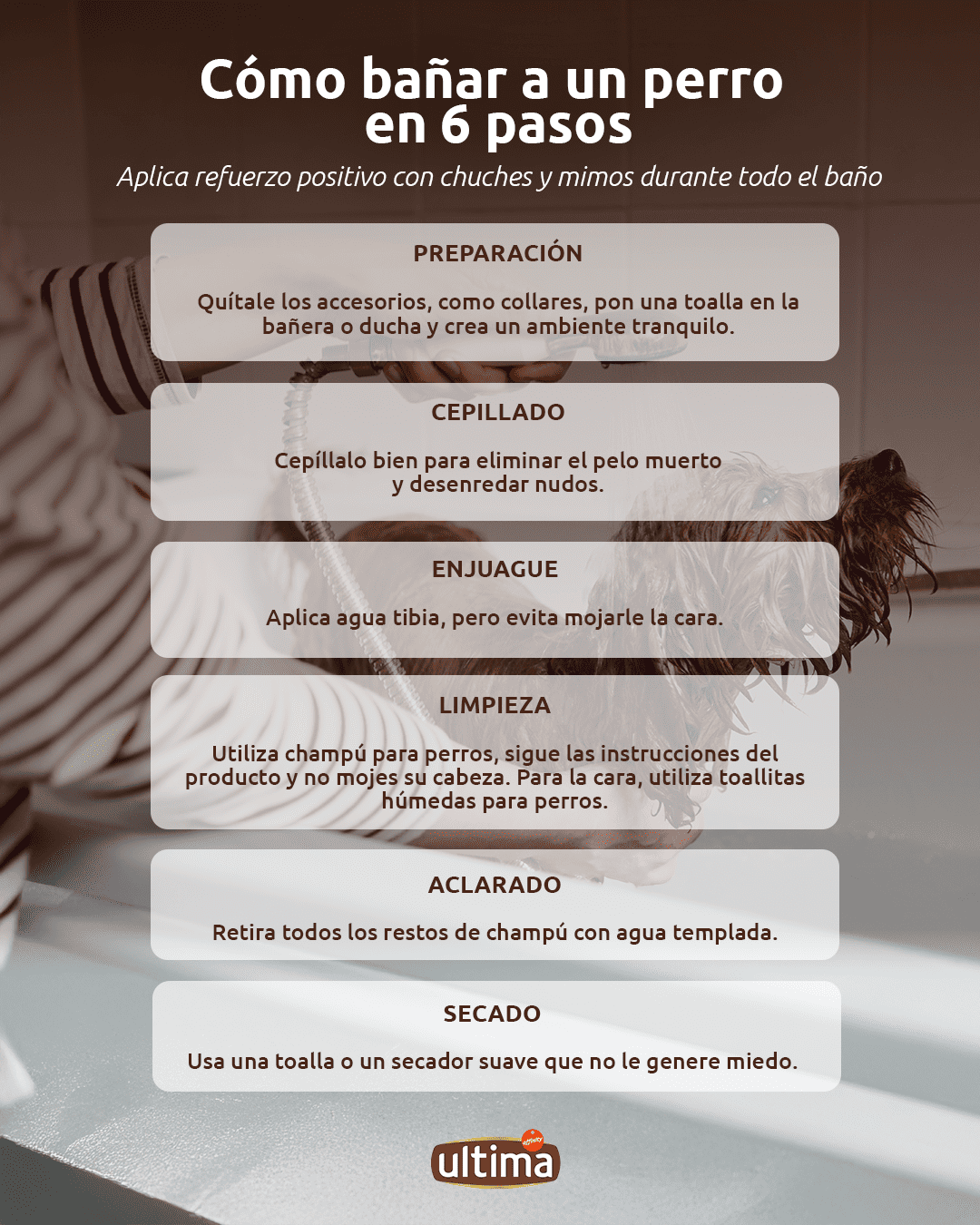 Infograf&iacute;a titulada &ldquo;C&oacute;mo ba&ntilde;ar a un perro en 6 pasos&rdquo;. Texto:  1.	Preparaci&oacute;n: Qu&iacute;tale los accesorios, como collares, pon una toalla en la ba&ntilde;era o ducha y crea un ambiente tranquilo. 2.	Cepillado: Cep&iacute;llalo bien para eliminar el pelo muerto y desenredar nudos. 3.	Enjuague: Aplica agua tibia, pero evita mojarle la cara. 4.	Limpieza: Utiliza champ&uacute; para perros, sigue las instrucciones del producto y no mojes su cabeza. Para la cara, utiliza toallitas h&uacute;medas para perros. 5.	Aclarado:  Retira todos los restos de champ&uacute; con agua templada. 6.	Secado: Usa una toalla o un secador suave que no le genere miedo. Acotaci&oacute;n: &ldquo;Aplica refuerzo positivo con chuches y mimos durante todo el ba&ntilde;o&rdquo;.