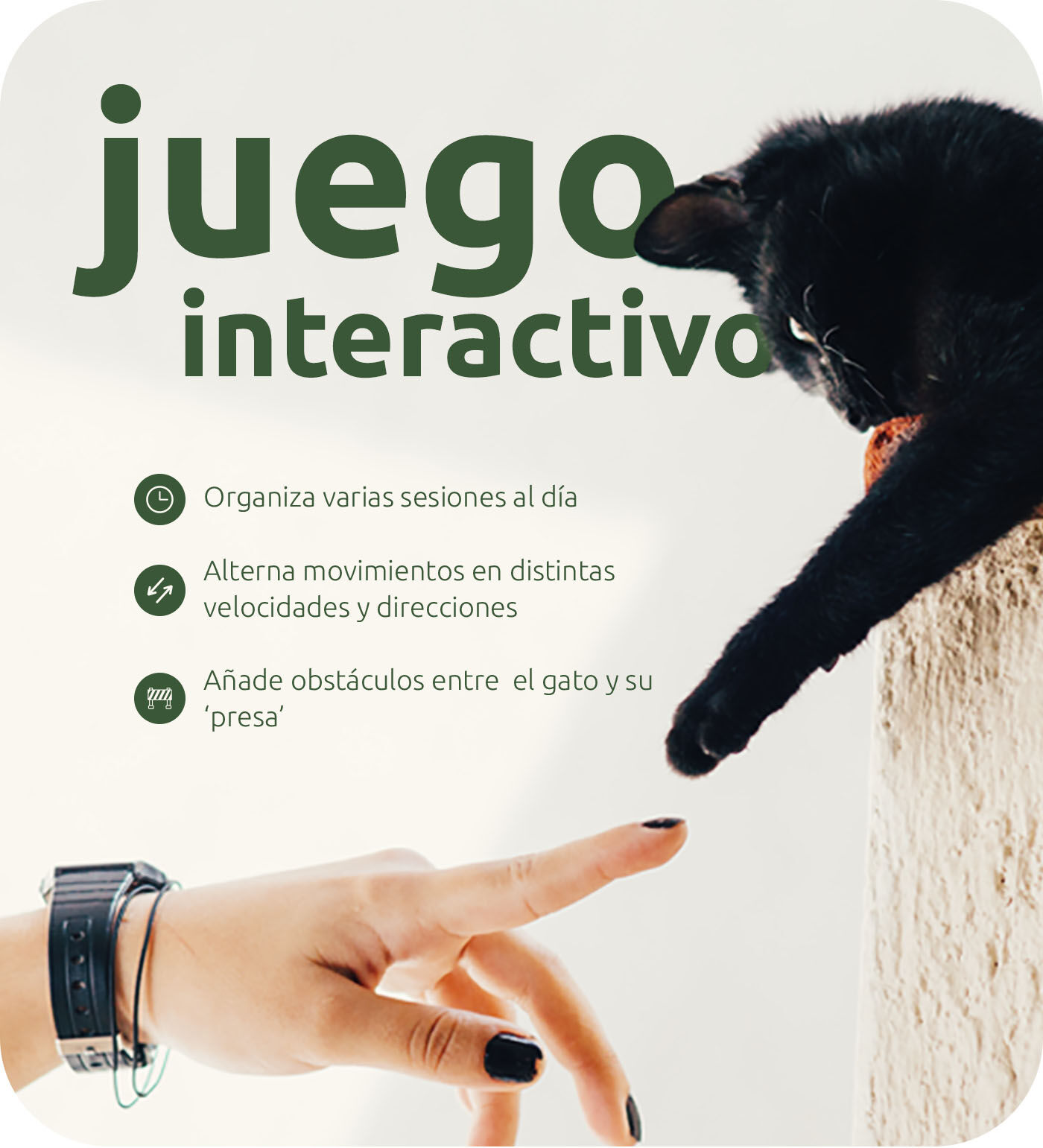 Juego interactivo