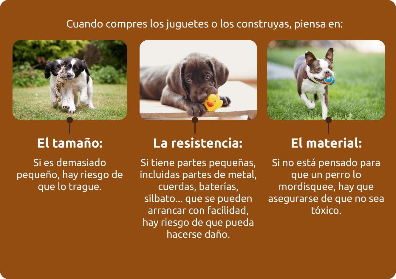 guia compra juguetes