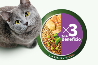 Beneficios Ultima para gatos esterilizados