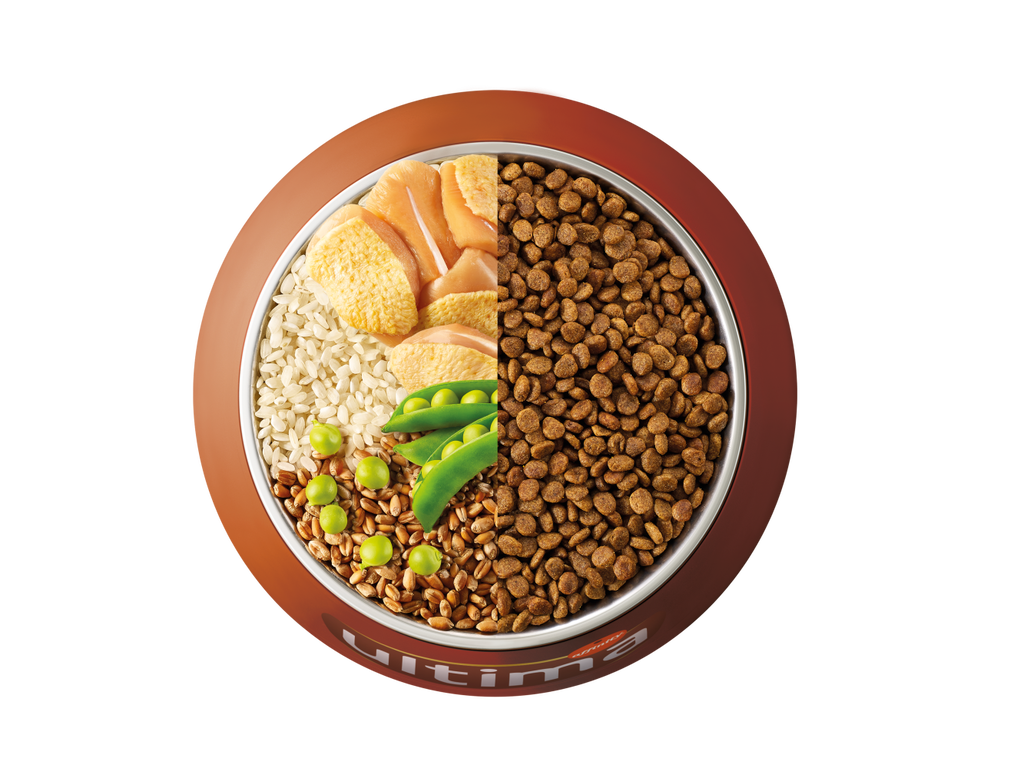 Pollo, arroz, cereales integrales y guisantes