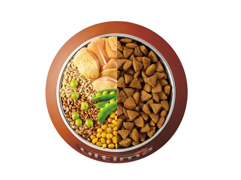 Pollo, cebada, trigo integral y guisantes