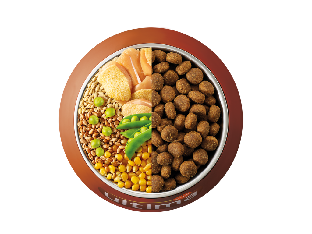 Pollo, cebada, cereales integrales y guisantes