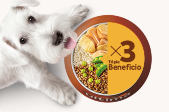 Beneficios Ultima para perros pequeños