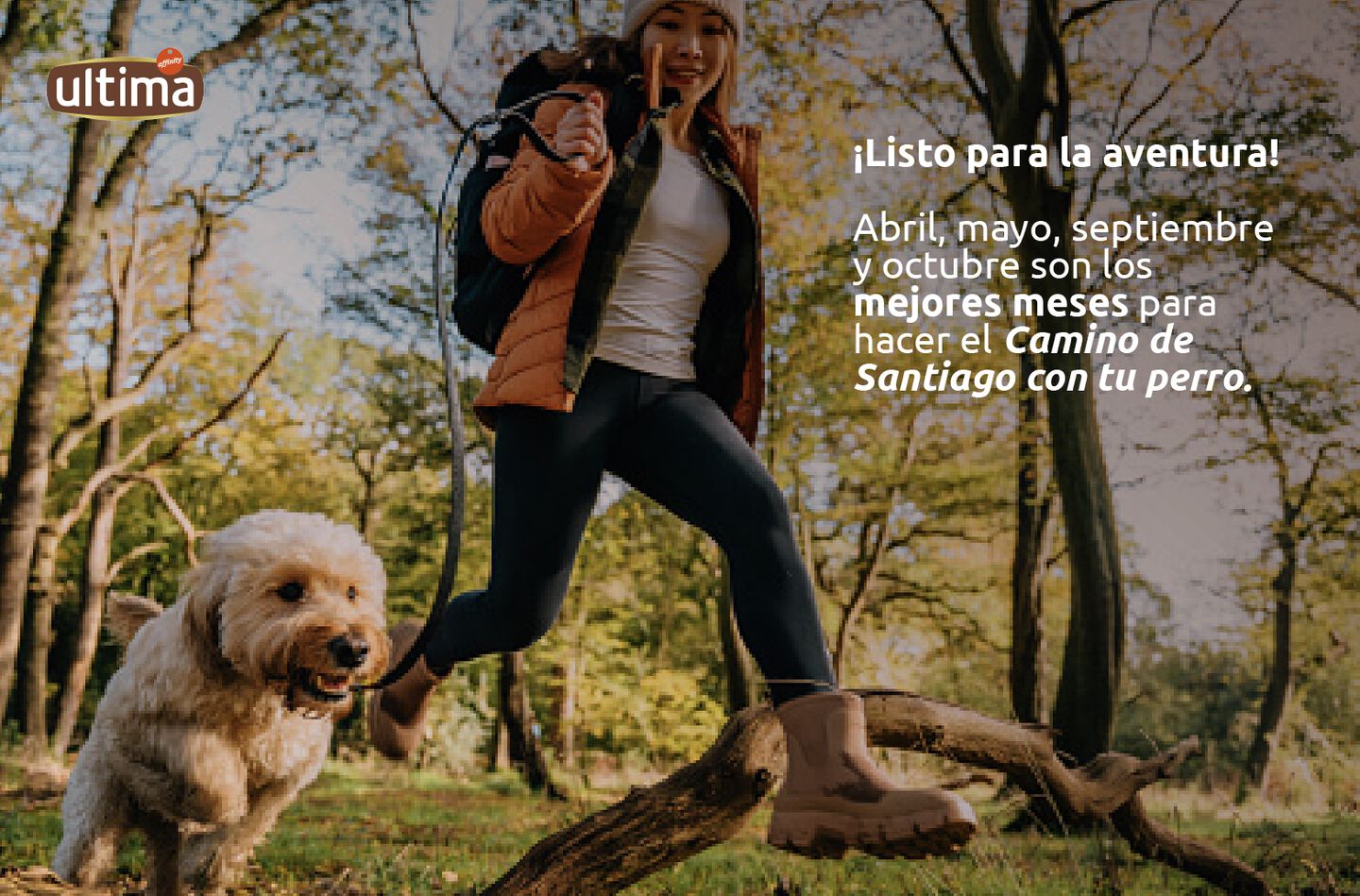 Mejores meses para hacer el camino de Santiago con tu perro