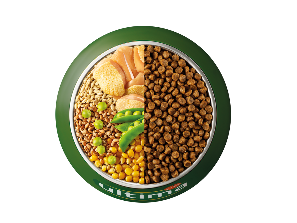 Pollastre, ordi, cereals integrals i p&egrave;sols