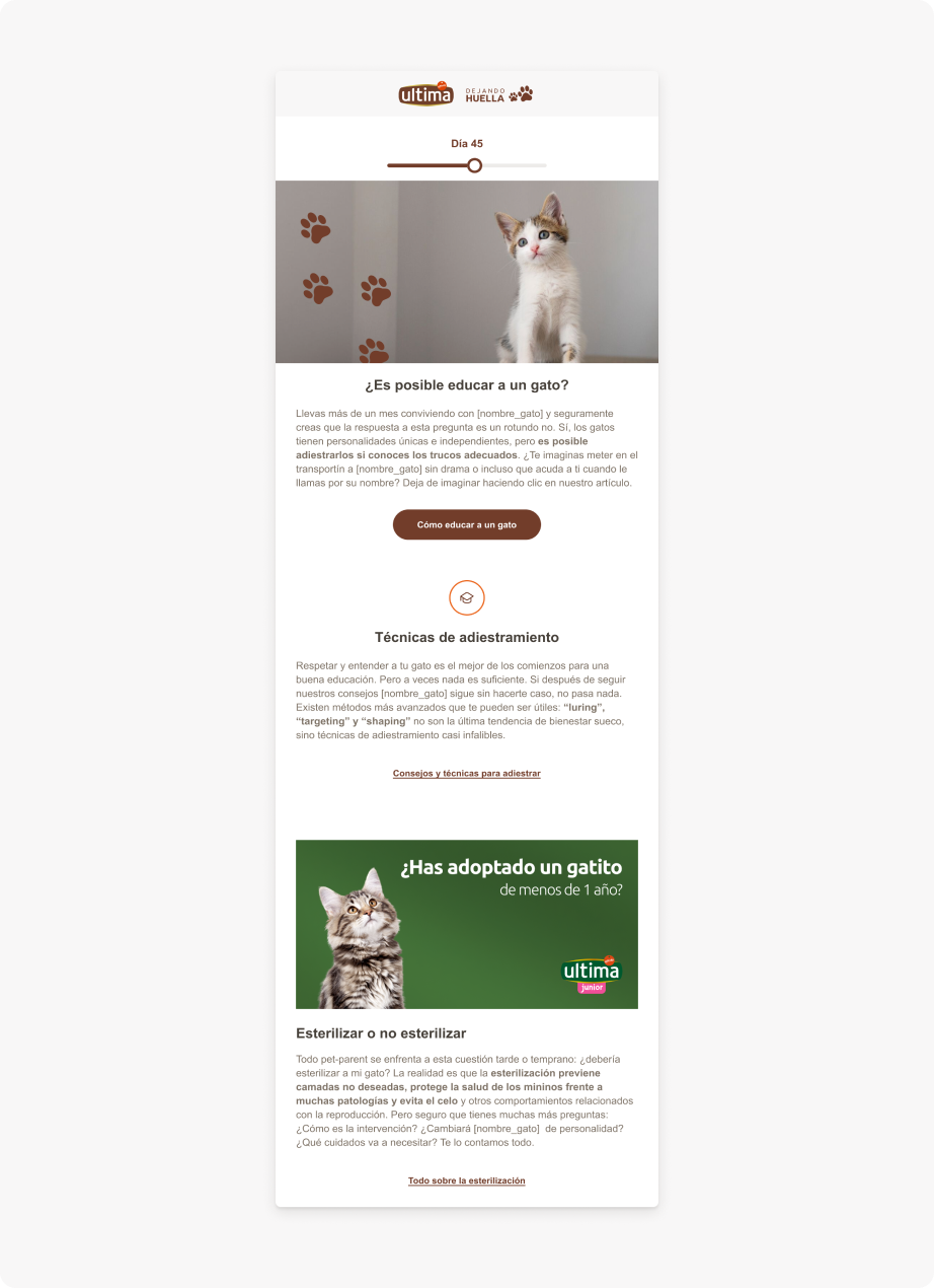 newsletters dejando huella
