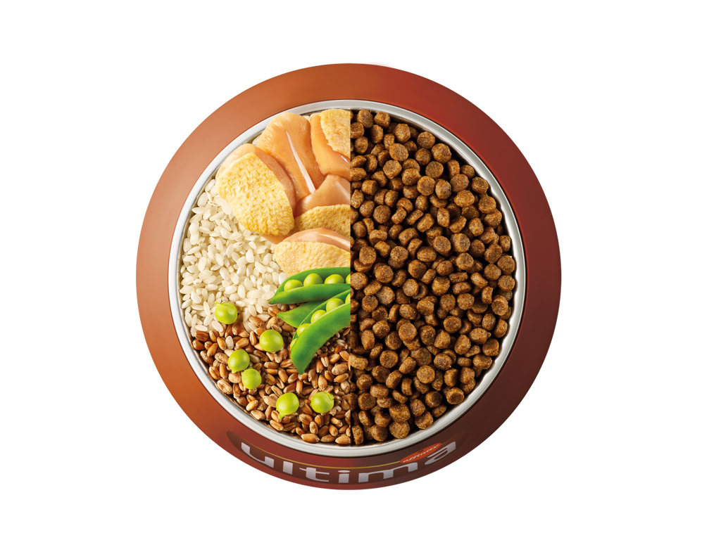 Pollo, arroz, cereales integrales y guisantes