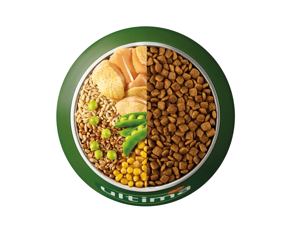 Pollastre, ordi, cereals integrals i p&egrave;sols