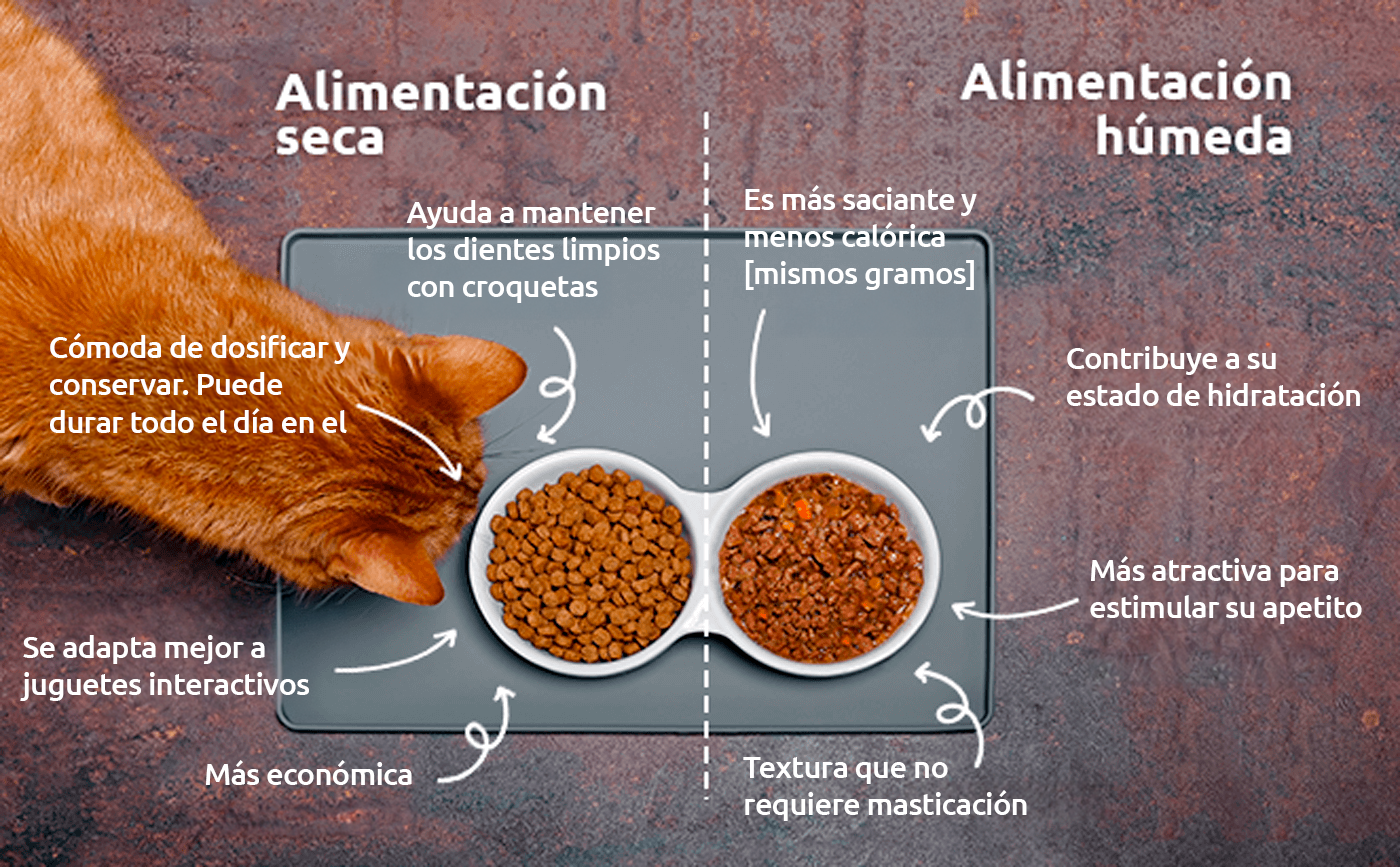 Ventajas de combinar la comida h&uacute;meda y seca