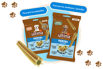 Landing snacks ES Dental Desktop.png