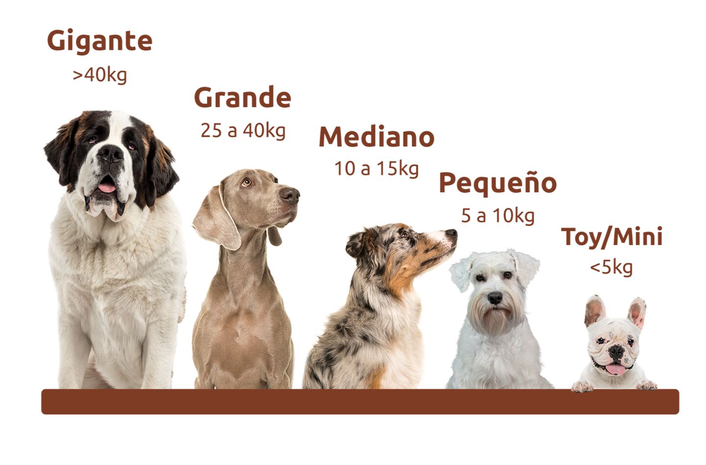 Tamaño del perro según su peso