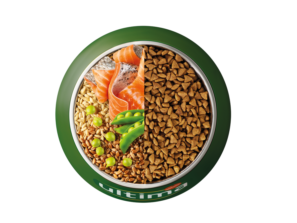 Salm&oacute;n, cebada, trigo integral y guisantes