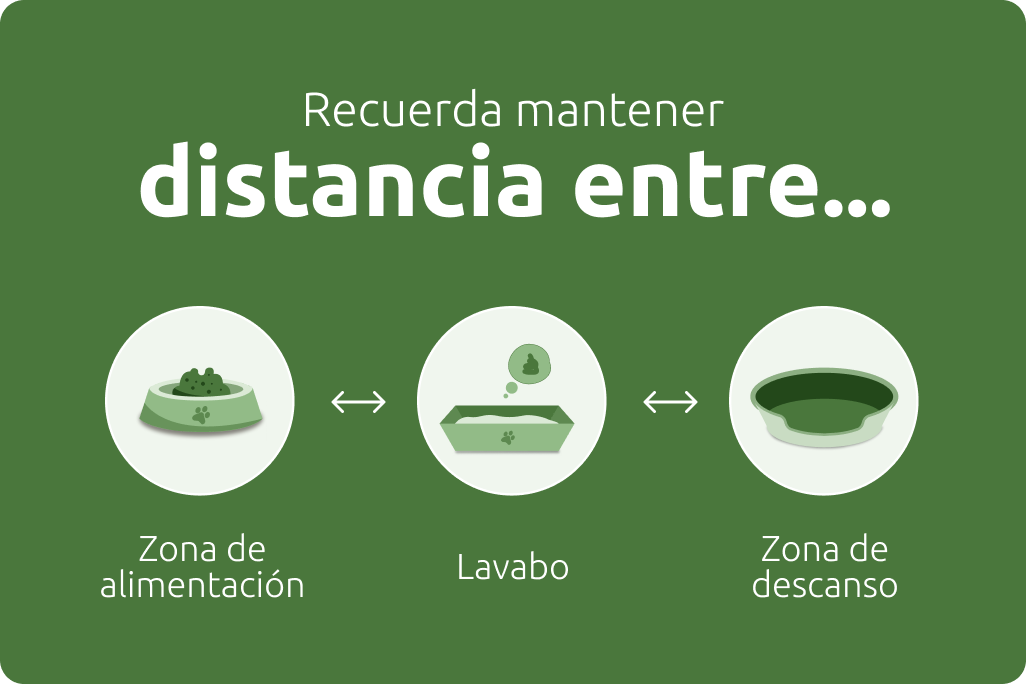 La importancia de mantener la distancia