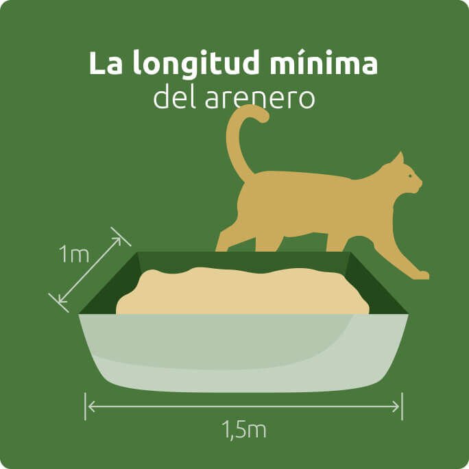 Longitud mínima del arenero