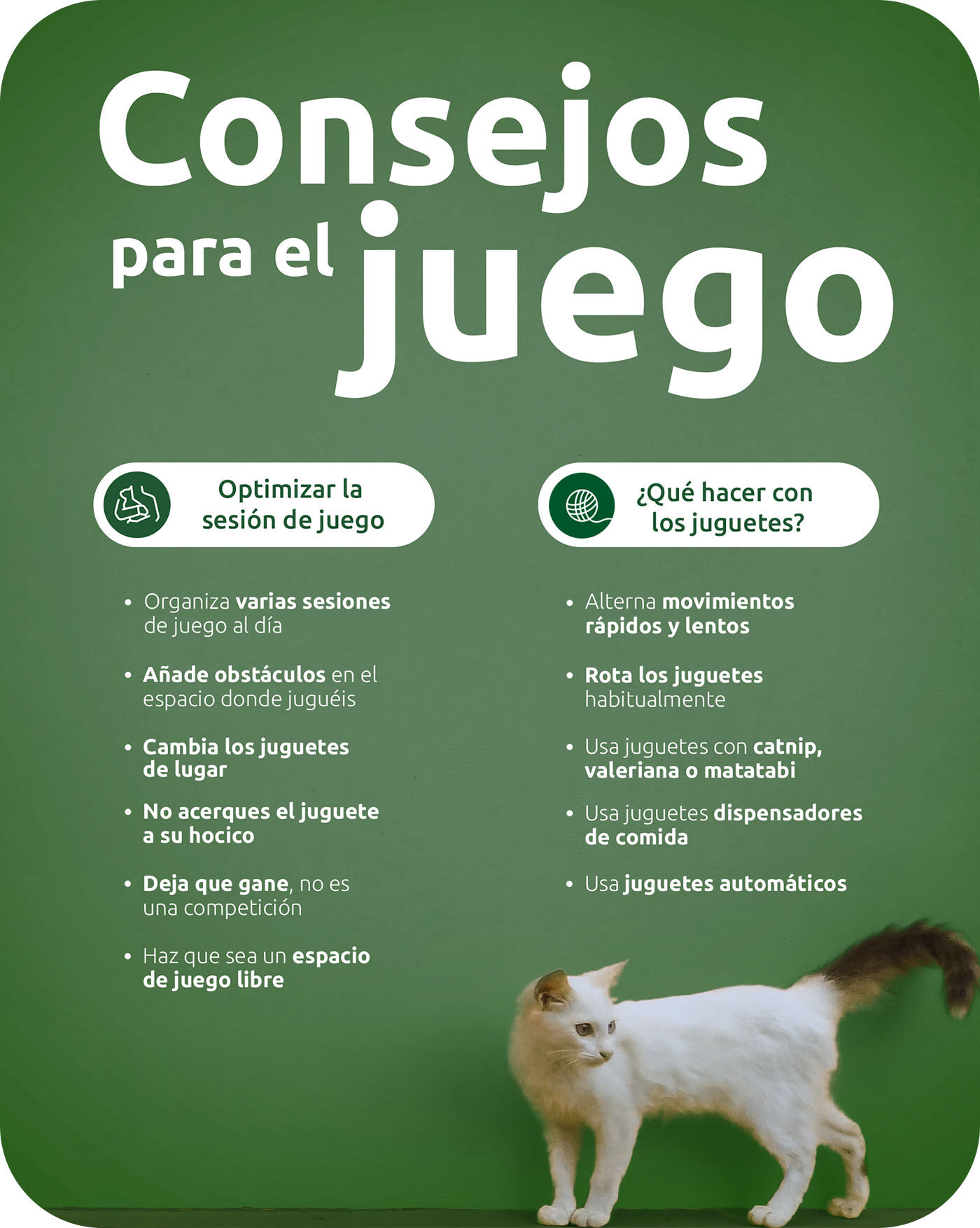 Consejos para el juego