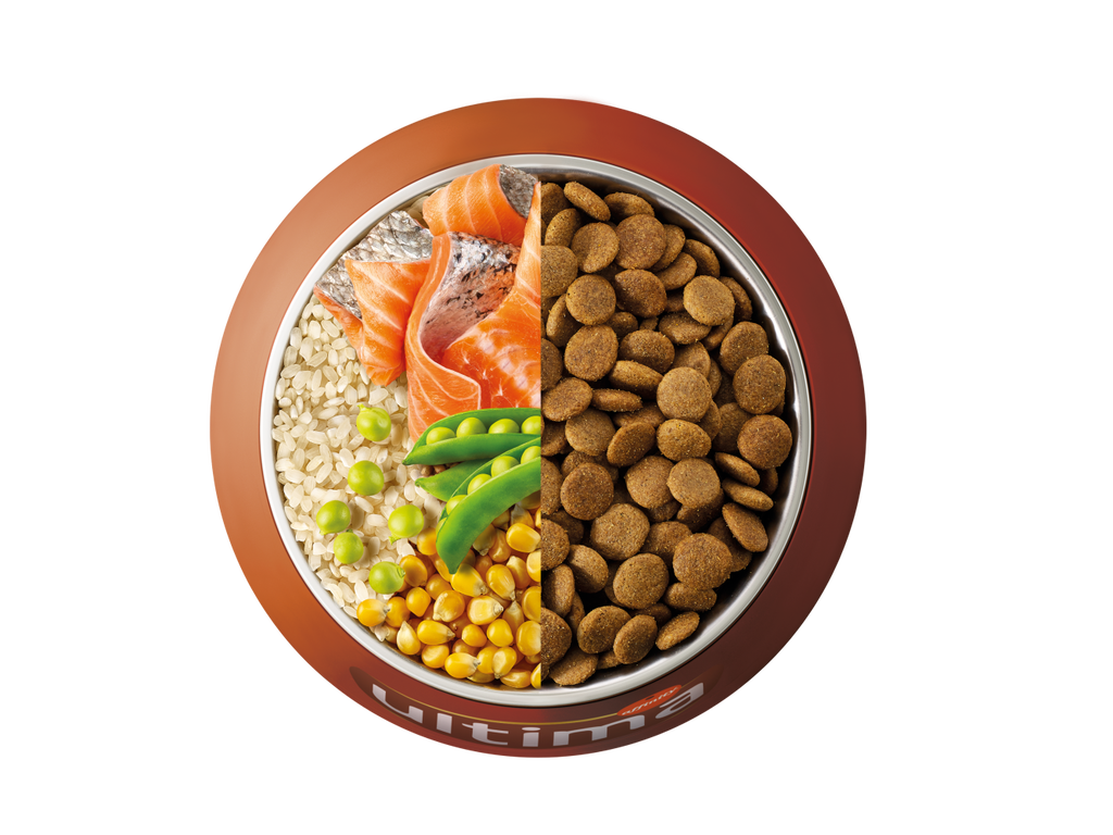 Salm&oacute;n, arroz y guisantes