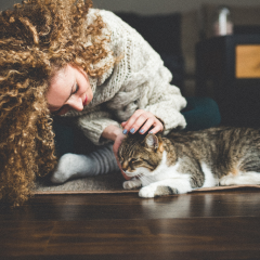 Image Link For Alimentación del gato senior