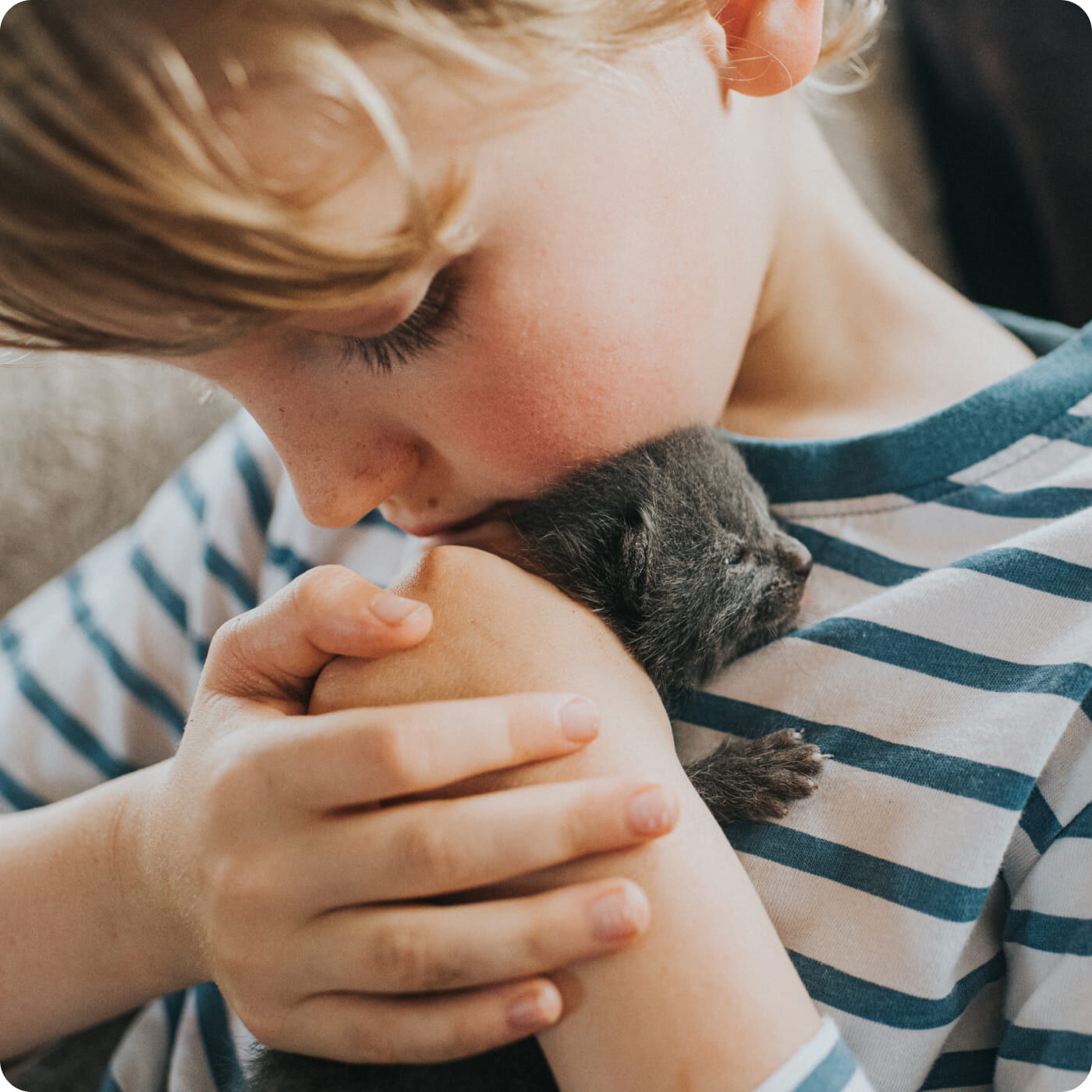 Niño con gatito
