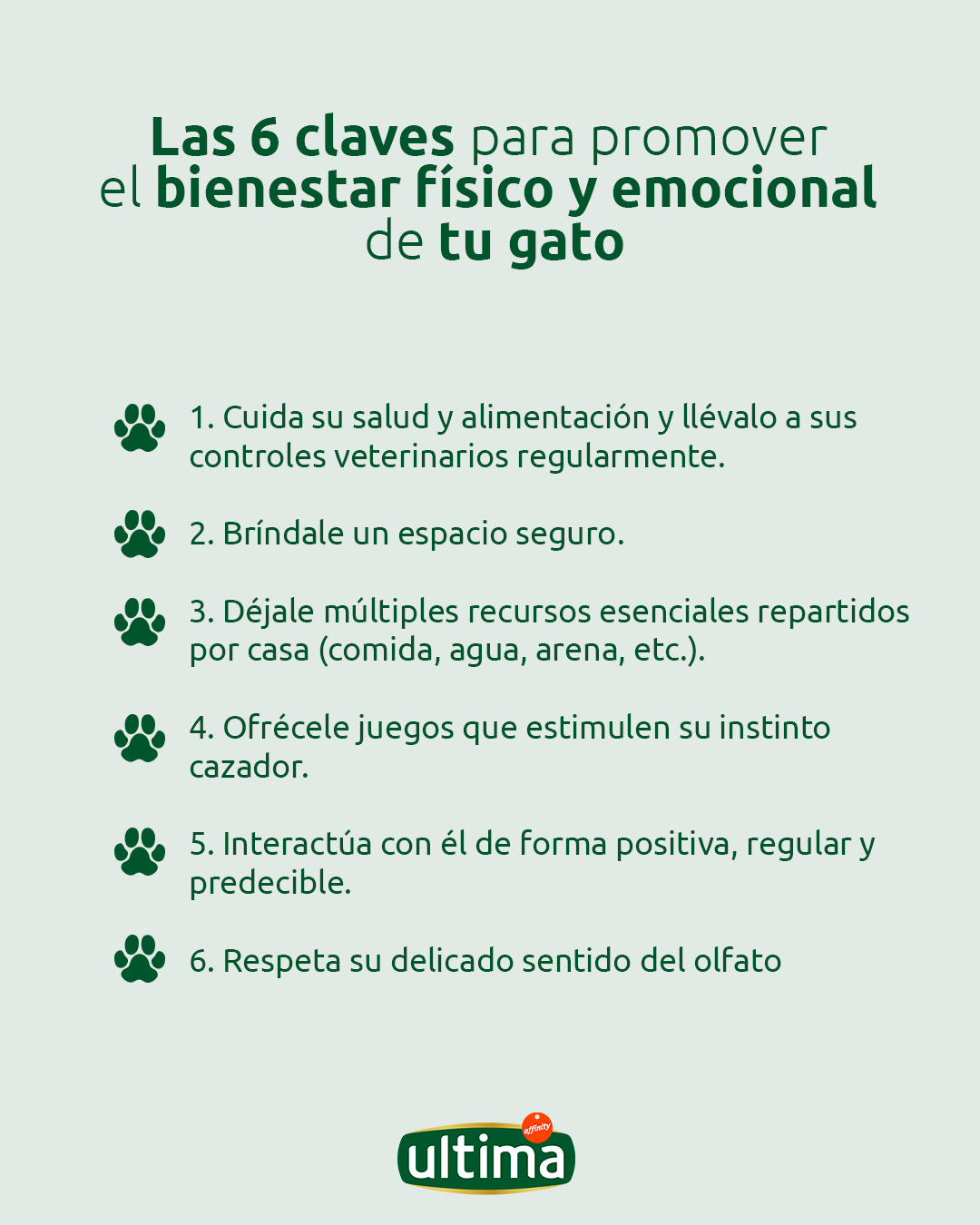6 claves para promover el bienestar de tu gato