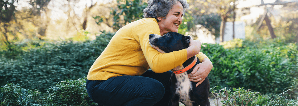 Adopción de un perro senior