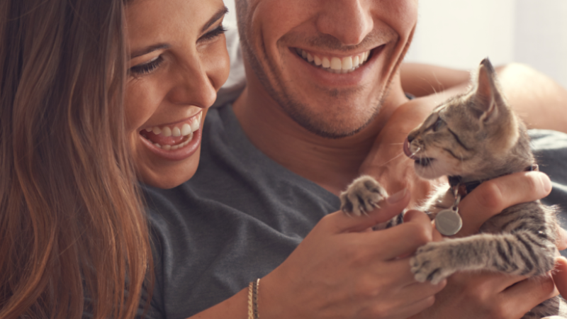 ART Cuidado gatitos beb&eacute;.png