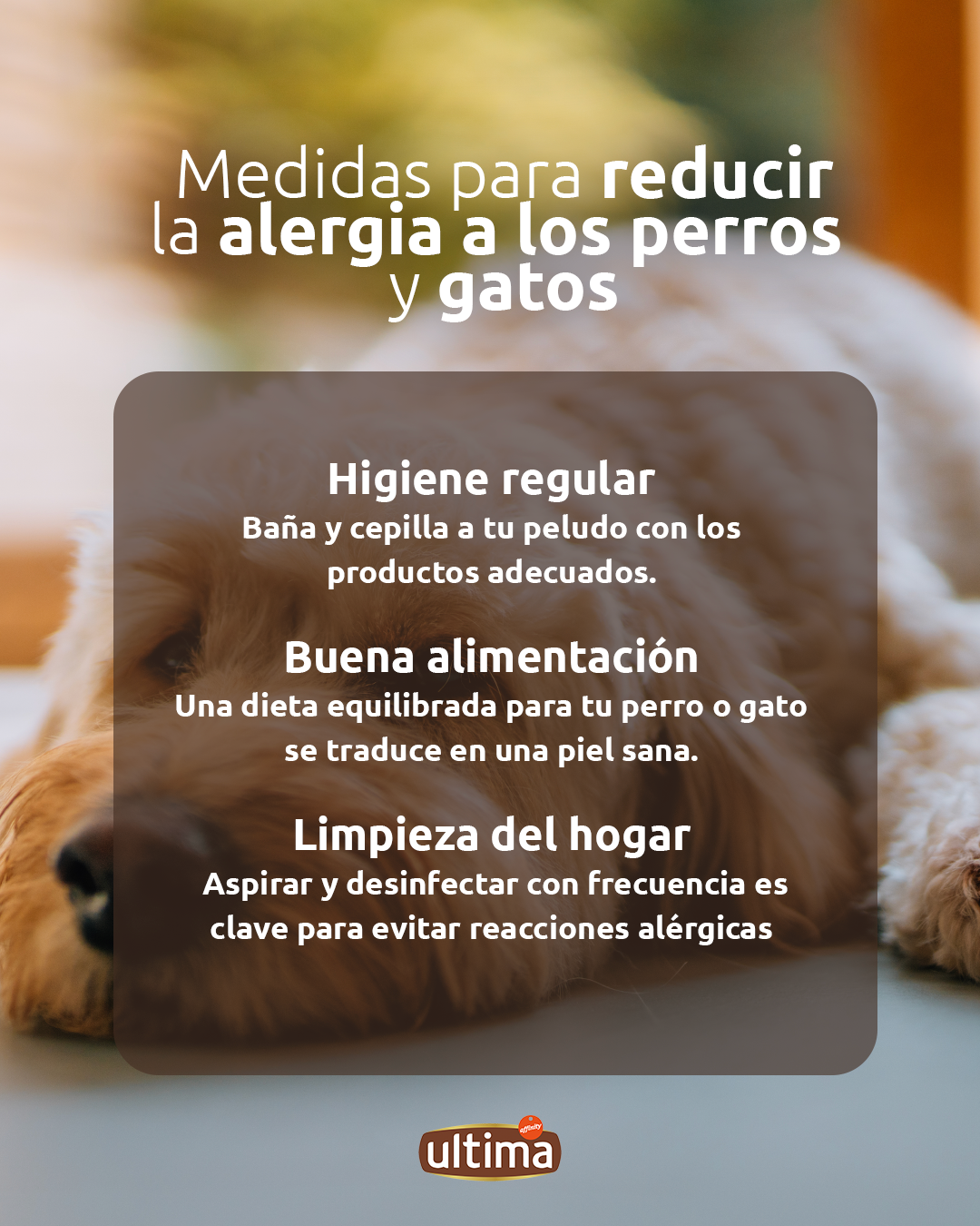 Infograf&iacute;a titulada &ldquo;Medidas para reducir la alergia a los perros y gatos&rdquo;. Texto: Higiene regular: Ba&ntilde;a y cepilla a tu peludo con los productos adecuados. Buena alimentaci&oacute;n: Una dieta equilibrada para tu perro o gato se traduce en una piel sana. Limpieza del hogar: Aspirar y desinfectar con frecuencia es clave para evitar reacciones al&eacute;rgicas.&rdquo;