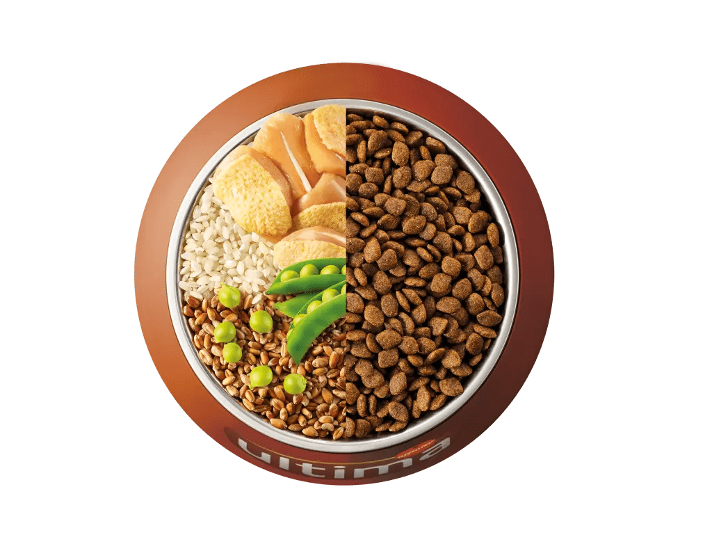 Pollastre, ordi, cereals integrals i p&egrave;sols.