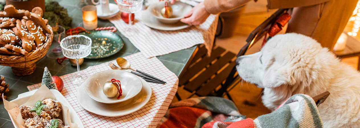 Image Link For Navidad con mascotas: alimentos prohibidos a evitar