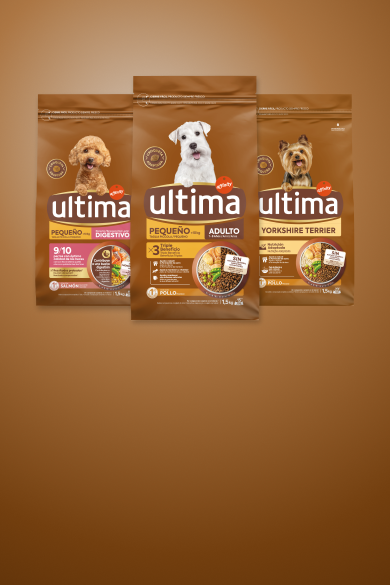 Banner landing comida seca perro  desktop.png