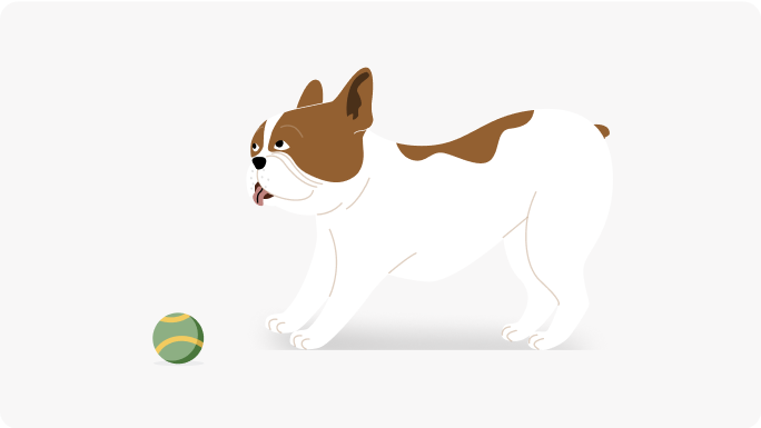 Postura perro durante el juego
