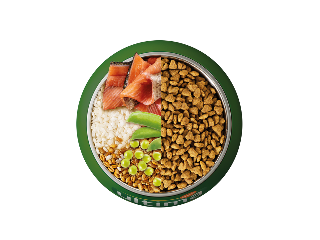 Trucha, arroz, cereales integrales y guisantes