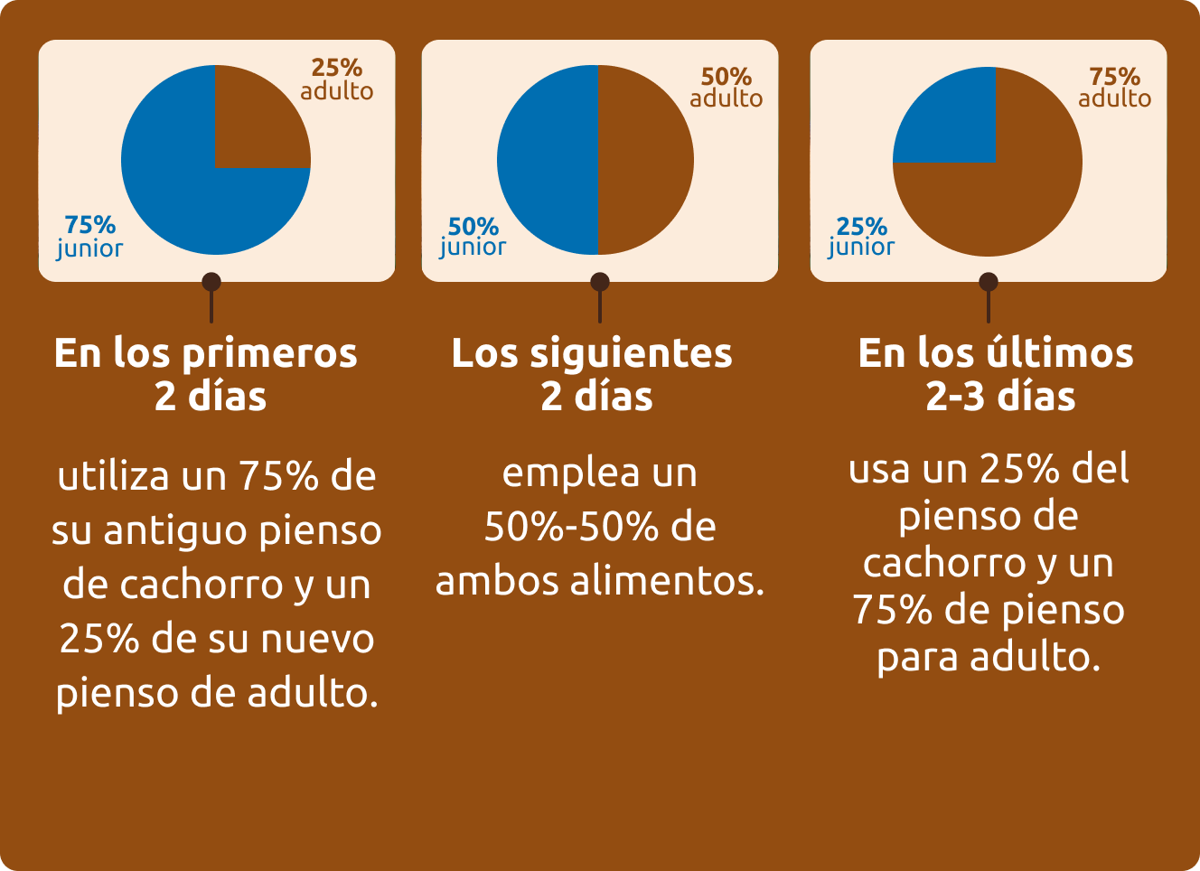 Propuesta de cambio progresivo de alimentación para tu perro
