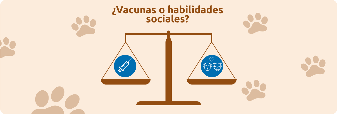 Balanza vacunos o habilidades sociales