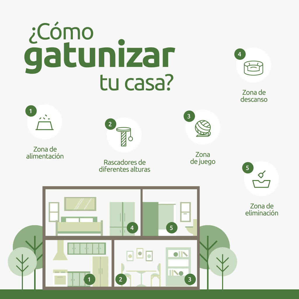 Cómo gatunizar tu casa