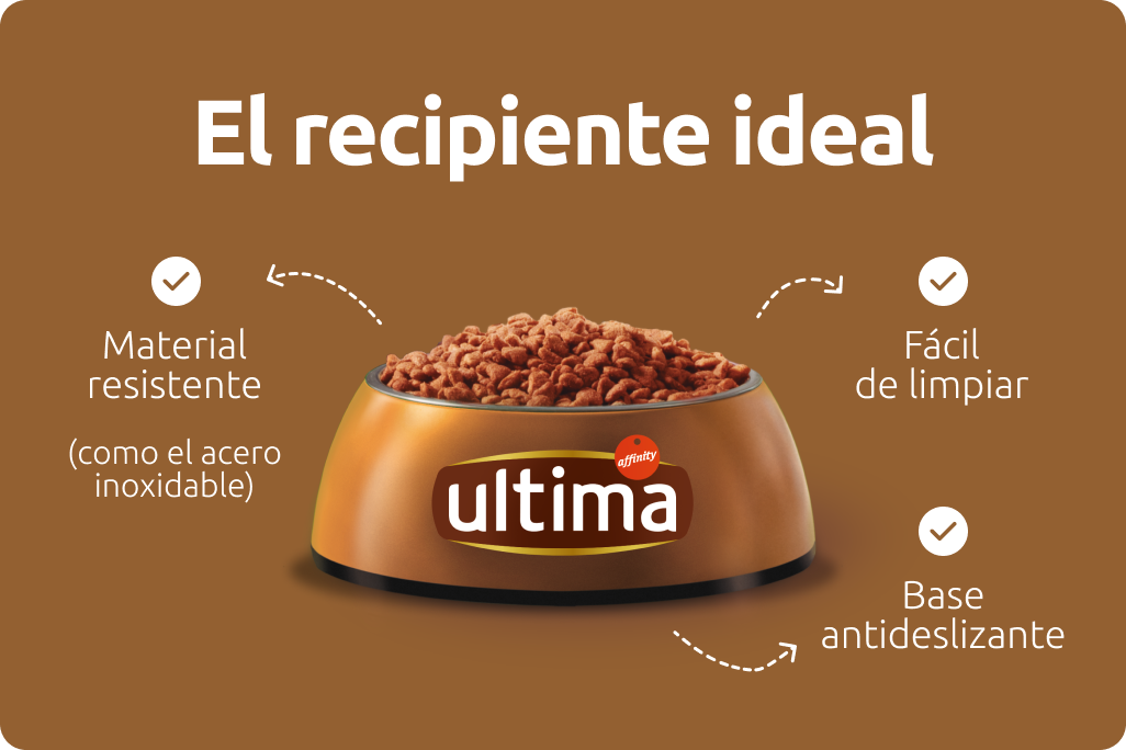 Recipiente ideal comida para perro