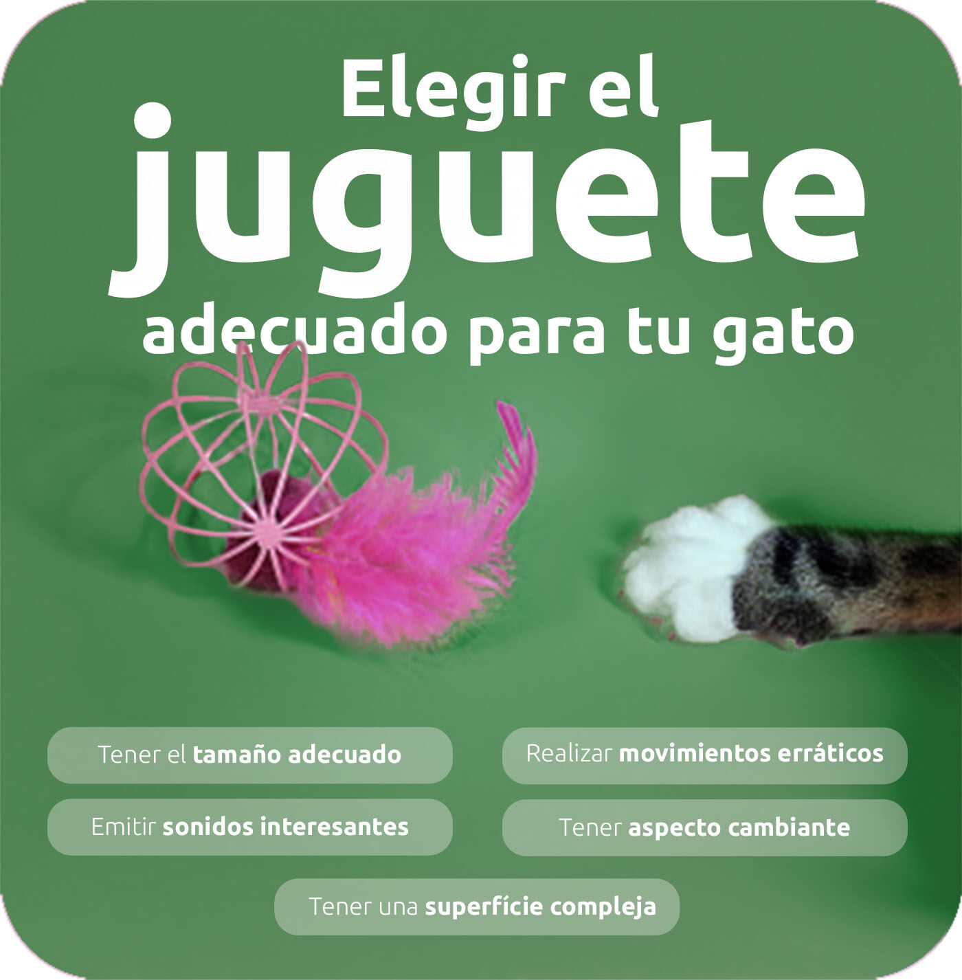 Elegir el juguete adecuado para tu gato