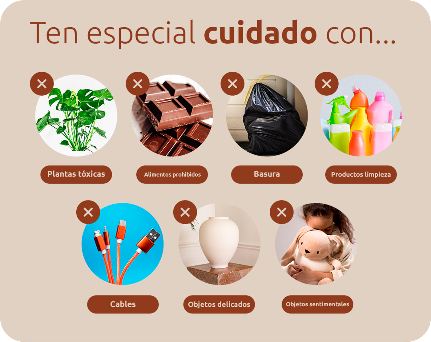 Cuidado con estos alimentos