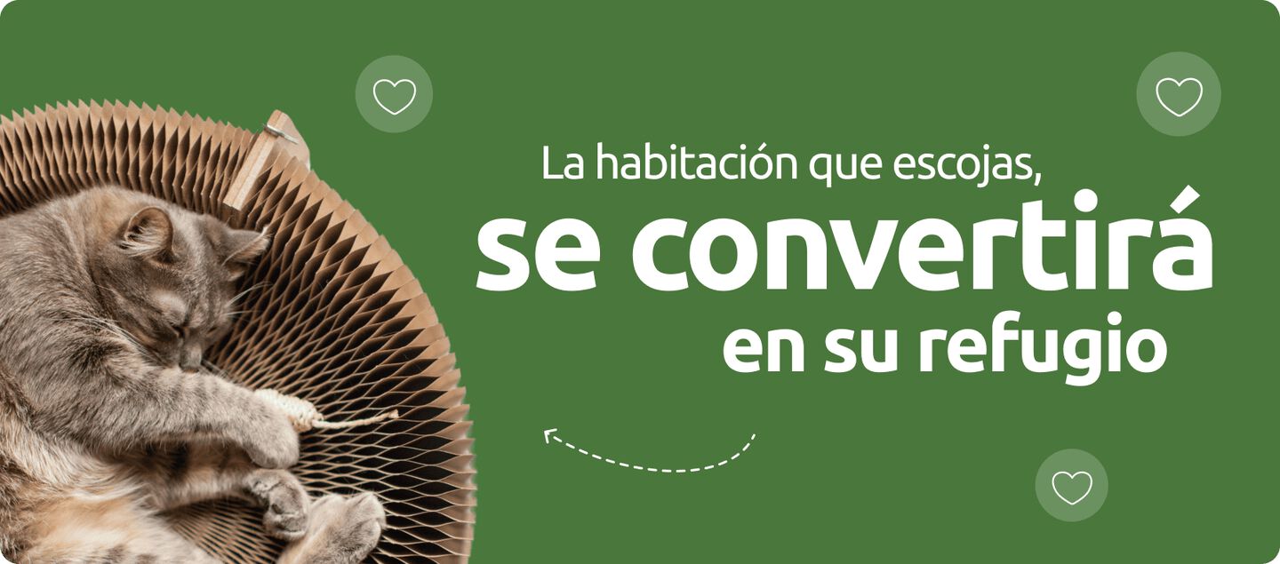 La habitación que escojas se convertirá en su refugio