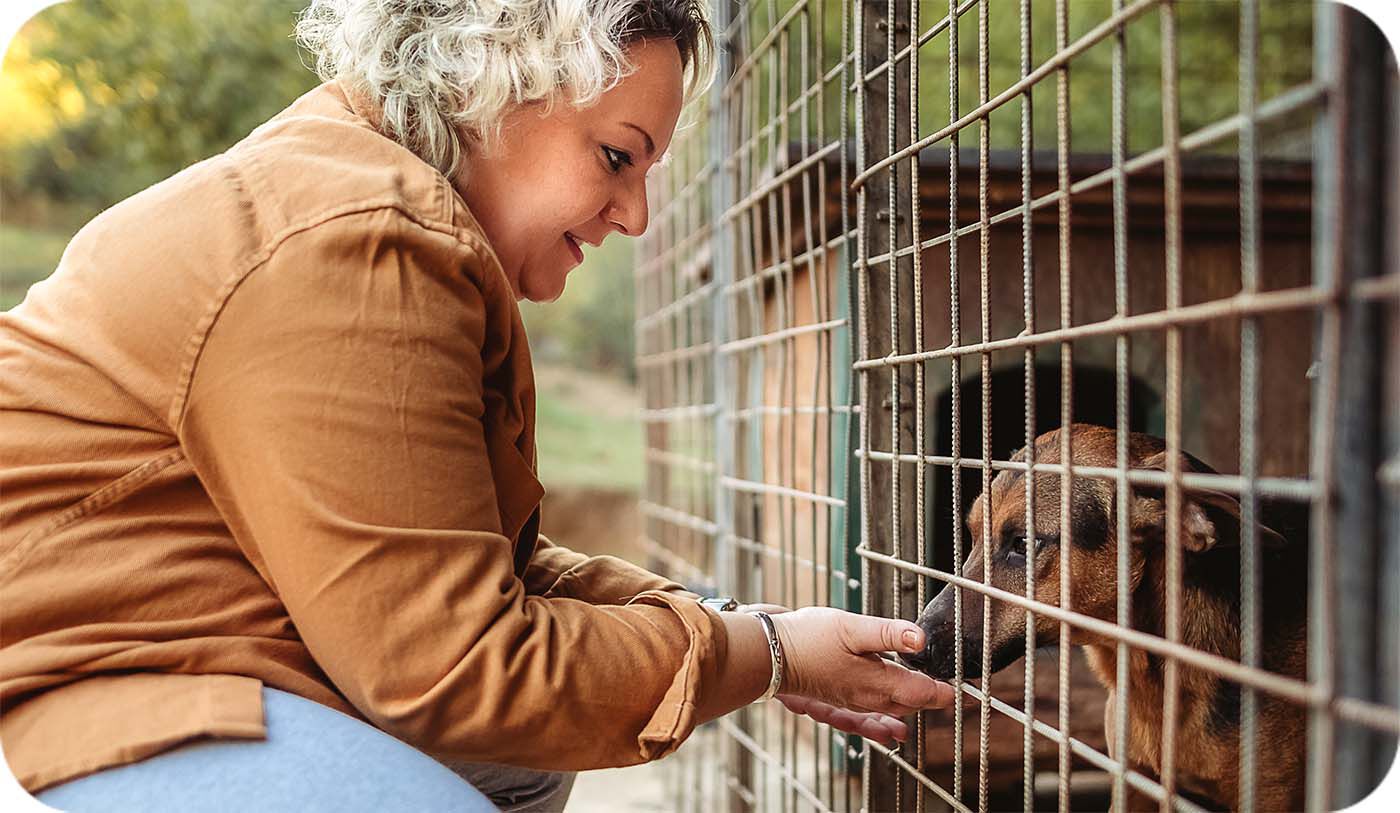 Perro en una jaula huele la mano de una mujer