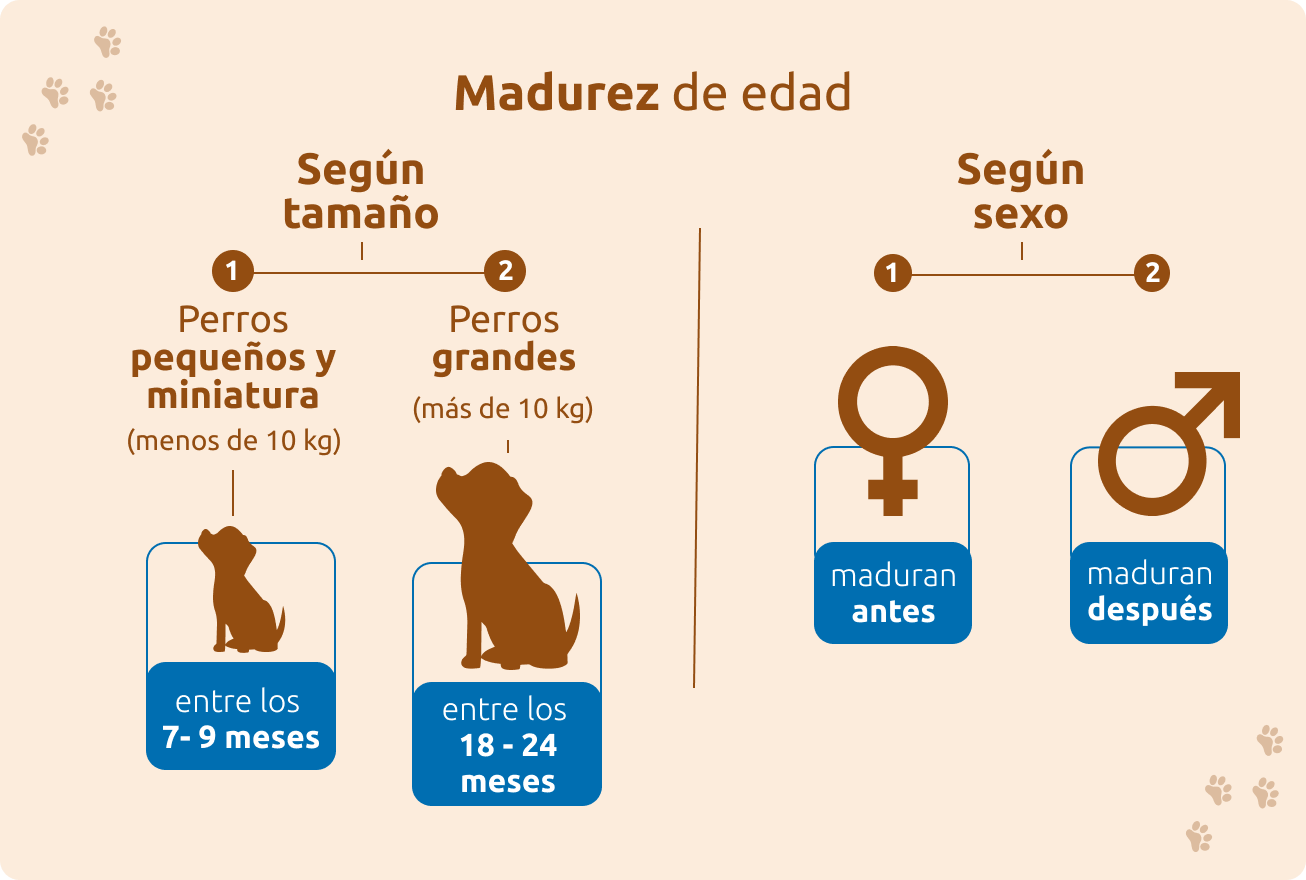 Madurez de edad