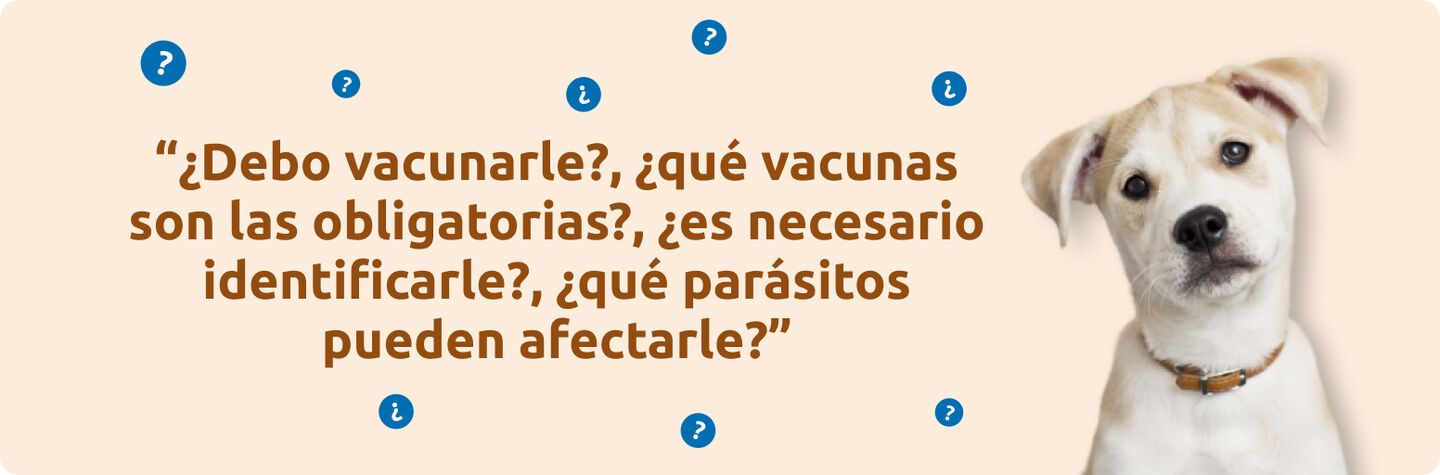 Dudas sobre las vacunas