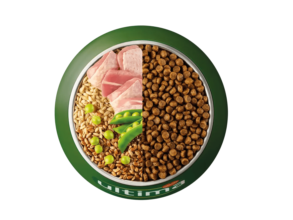 Gall dindi, ordi, blat integral i p&egrave;sols