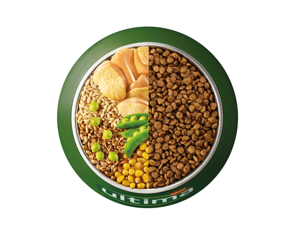 Pollastre, ordi, cereals integrals i p&egrave;sols