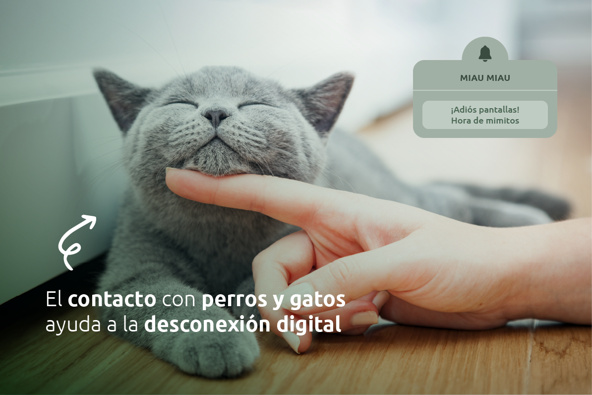 El contacto con perros y gatos ayuda a desconectar de las pantallas