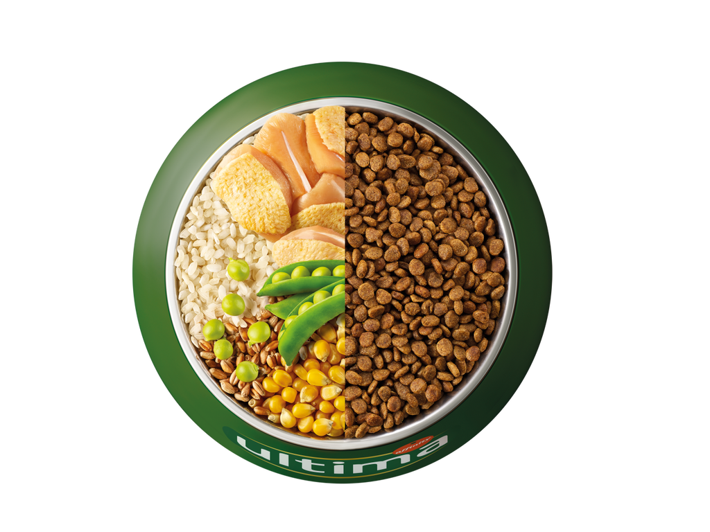 Pollo, arroz, cereales integrales y guisantes